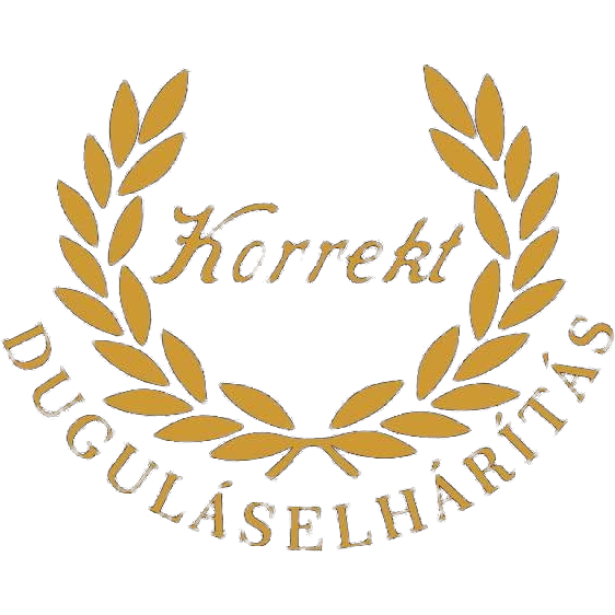 Korrekt Duguláselhárítás